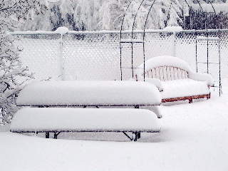Awww, that's purty